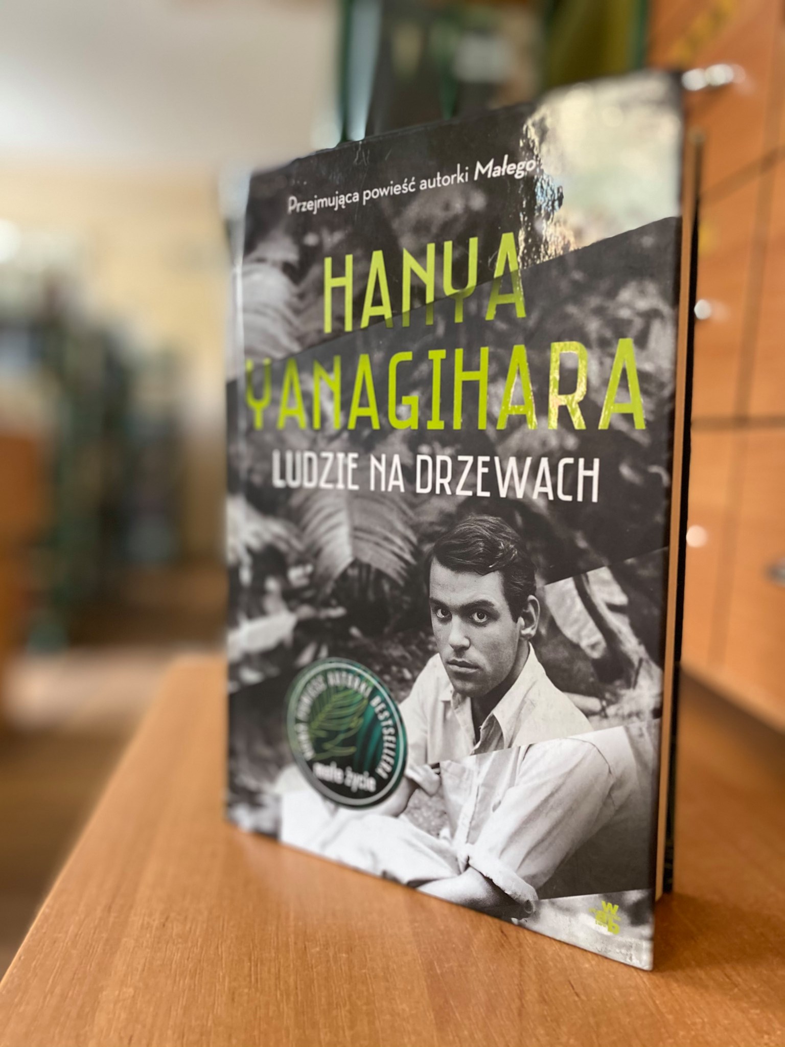 Okładka książki Hanya Yanagihary "Ludzie na drzewach"